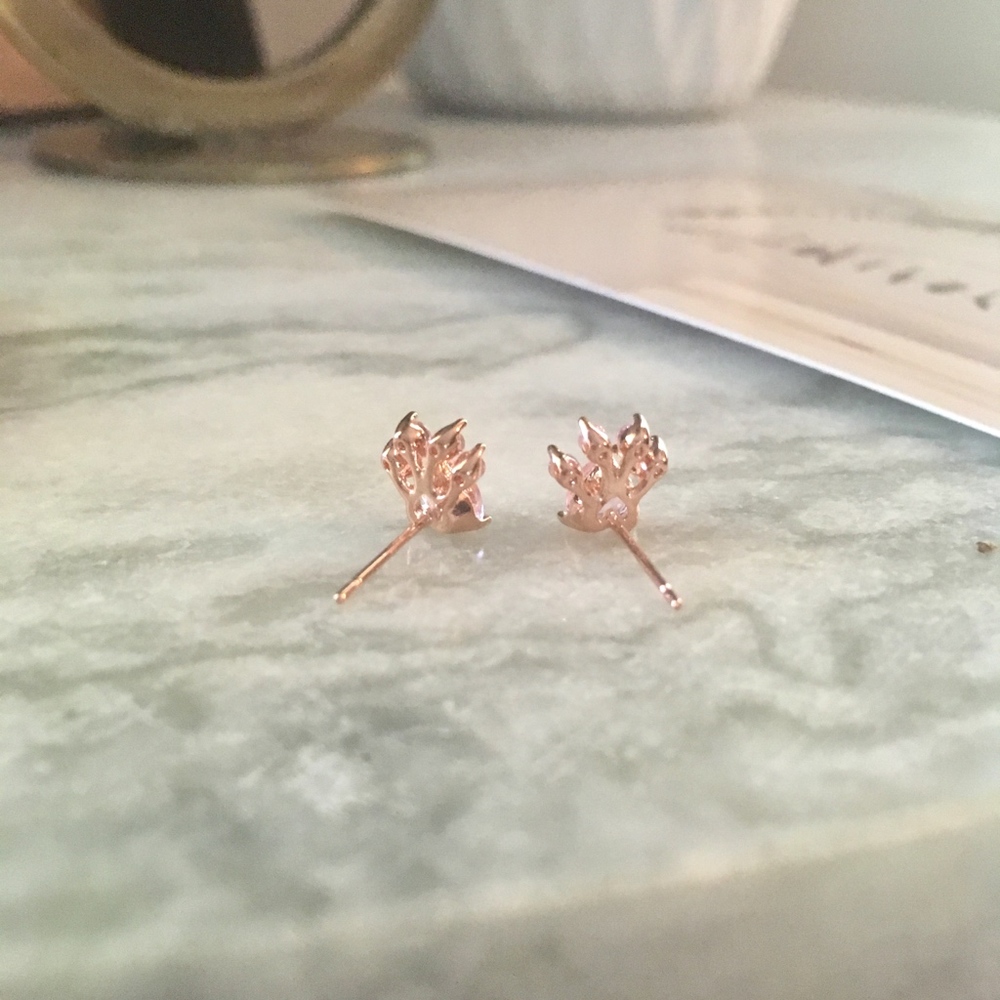 Paw Print CZ Rose Gold Animal Pet Love Earrings - Picture 8 of 9